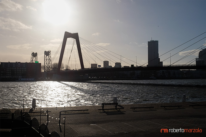 Willemsbrug bridge - Rotterdam