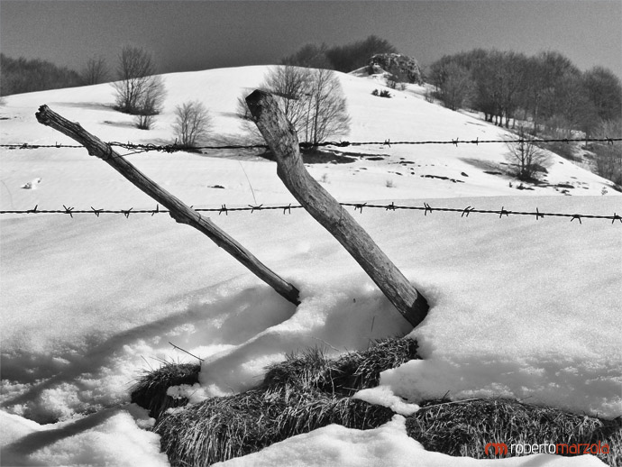 Black and White 042 - Barbed wire