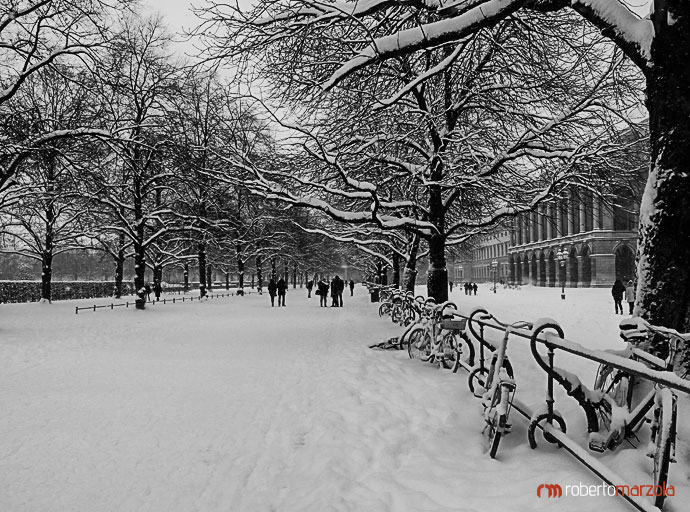 Giardino Residenz, il palazzo reale di Monaco di Baviera, black and white, bianco nero 