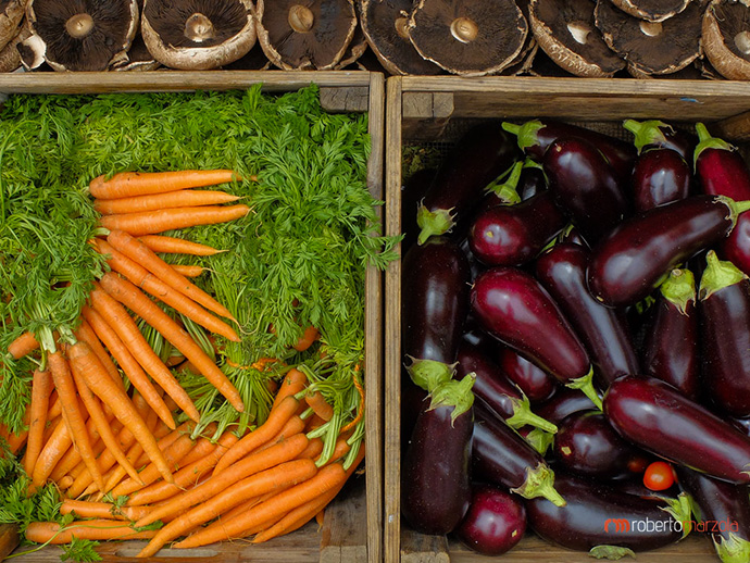 Colors 002 - Carrots and eggplant