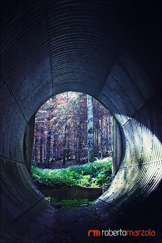 Tunnel - Cross processing 13