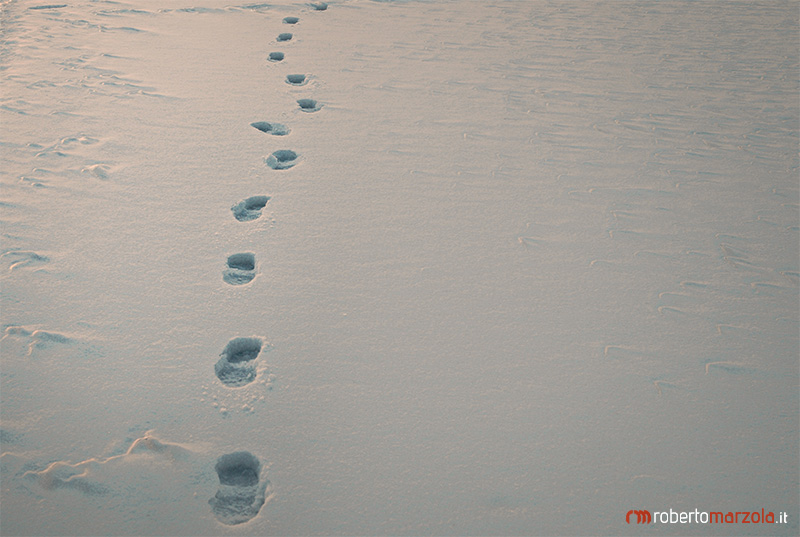 Footprints in the snow